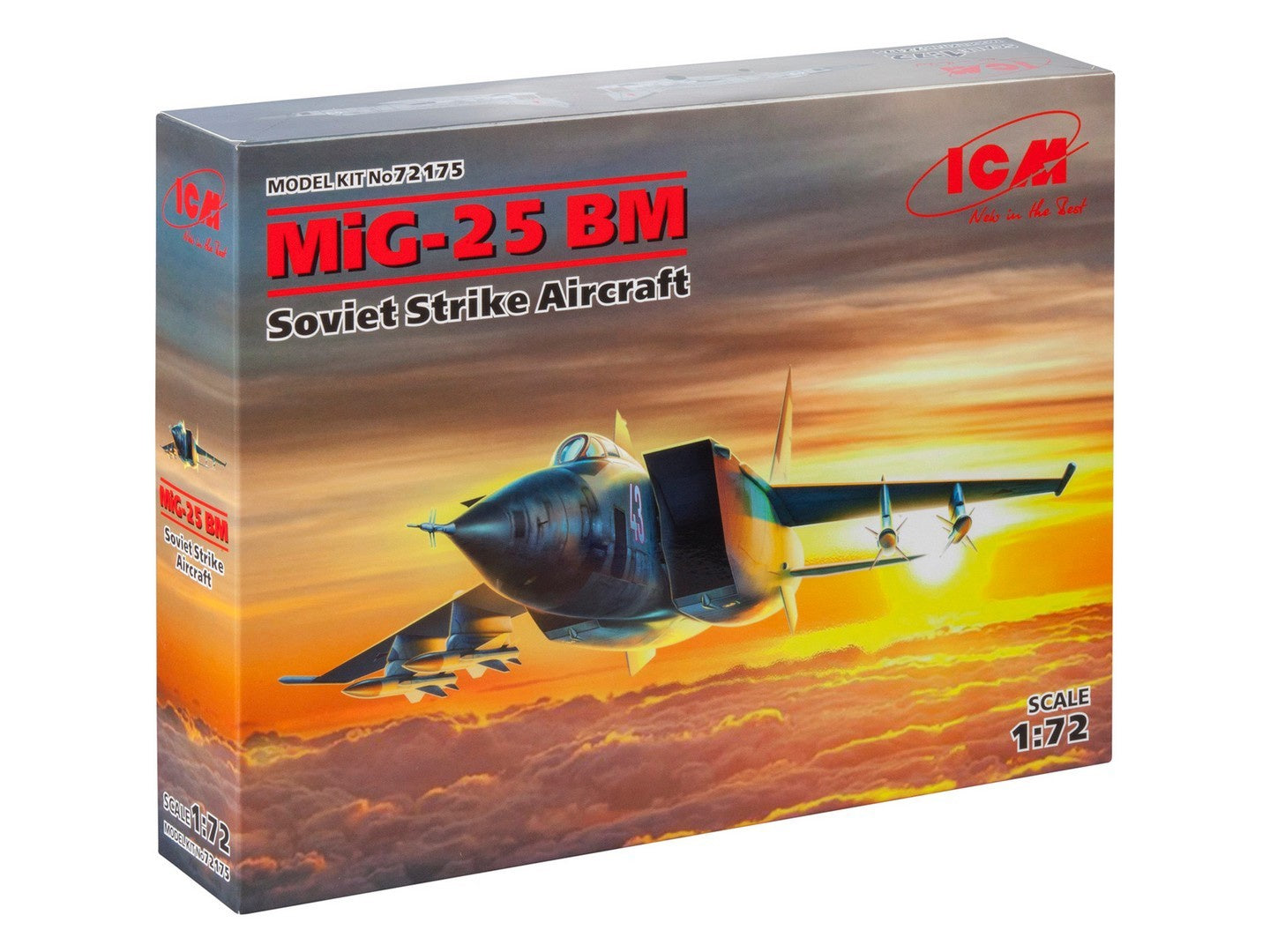 ICM72175