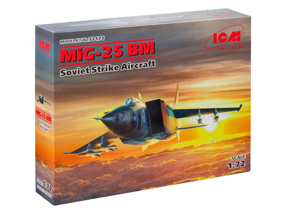 ICM72175