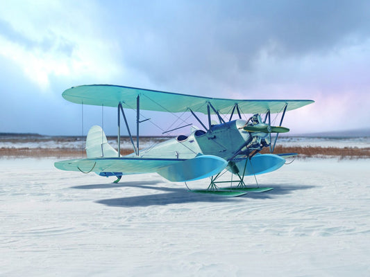 ICM72244