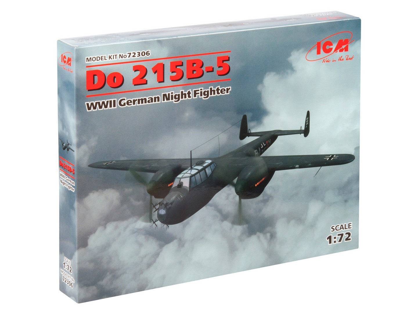 ICM72306
