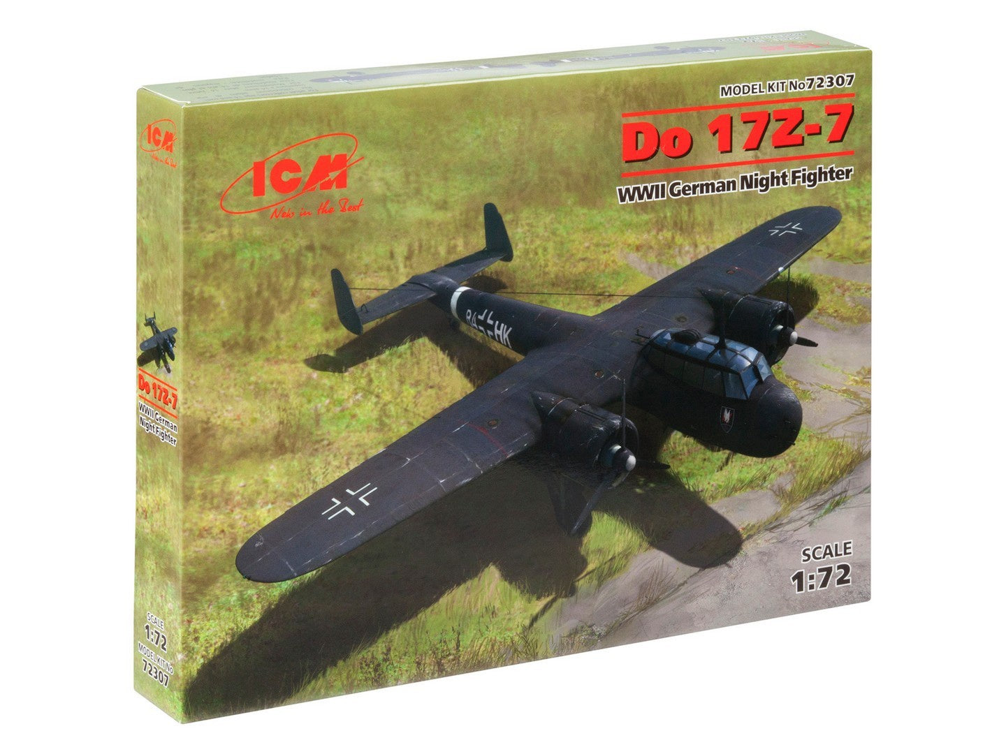 ICM72307
