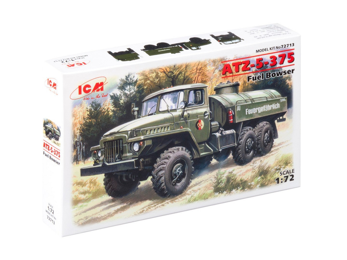 ICM72713