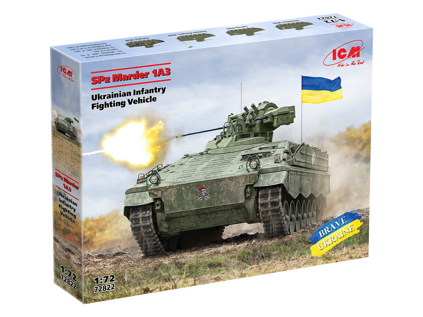 ICM72822
