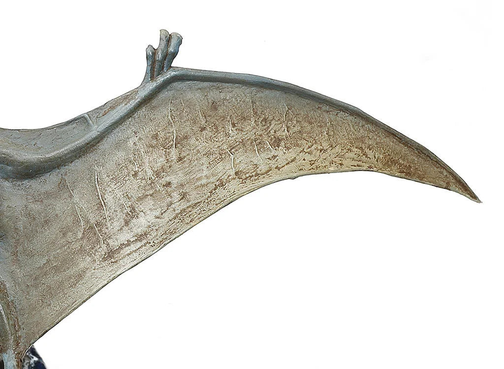 Tamiya 1/35 Dinosaur Series - Pteranodon 60204 - Product Image