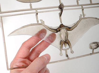Tamiya 1/35 Dinosaur Series - Pteranodon 60204 - Product Image