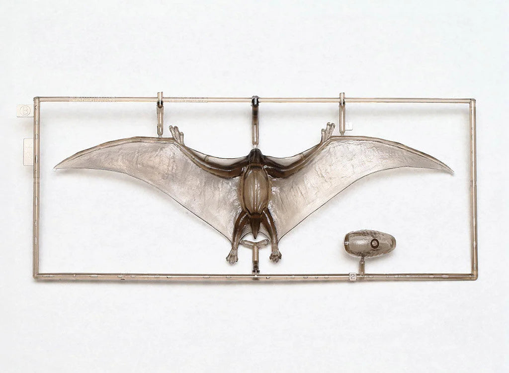 Tamiya 1/35 Dinosaur Series - Pteranodon 60204 - Product Image